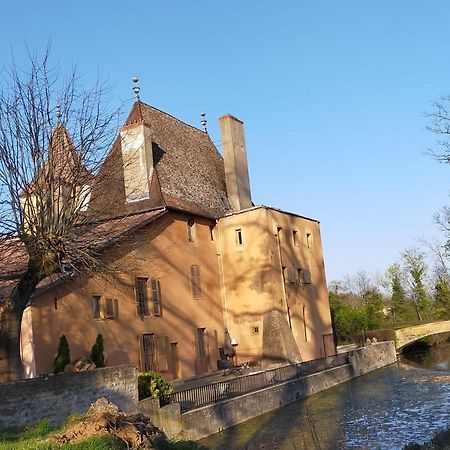 Chateau De La Venerie Denicé Eksteriør billede