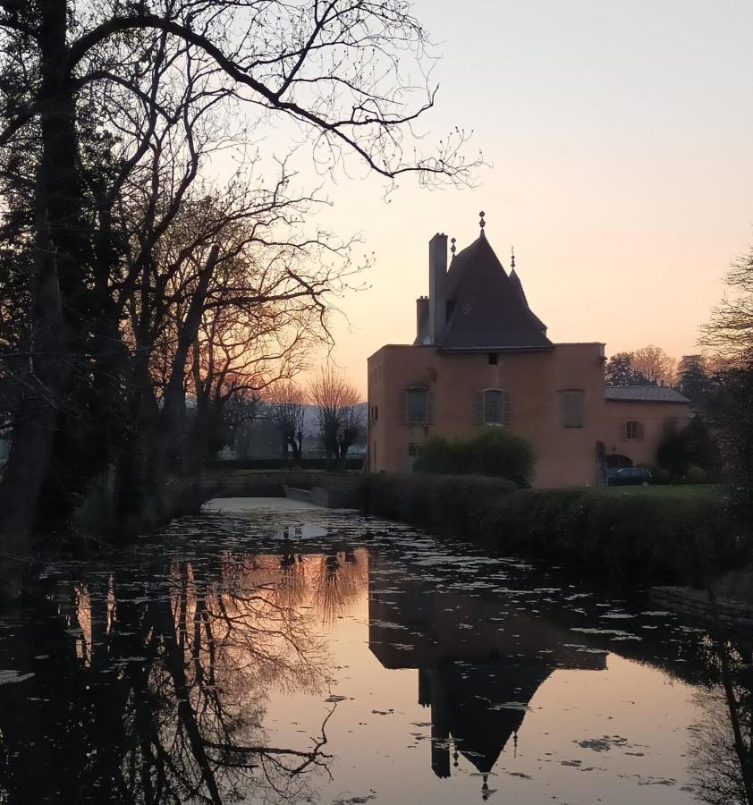 Chateau De La Venerie Denicé Eksteriør billede