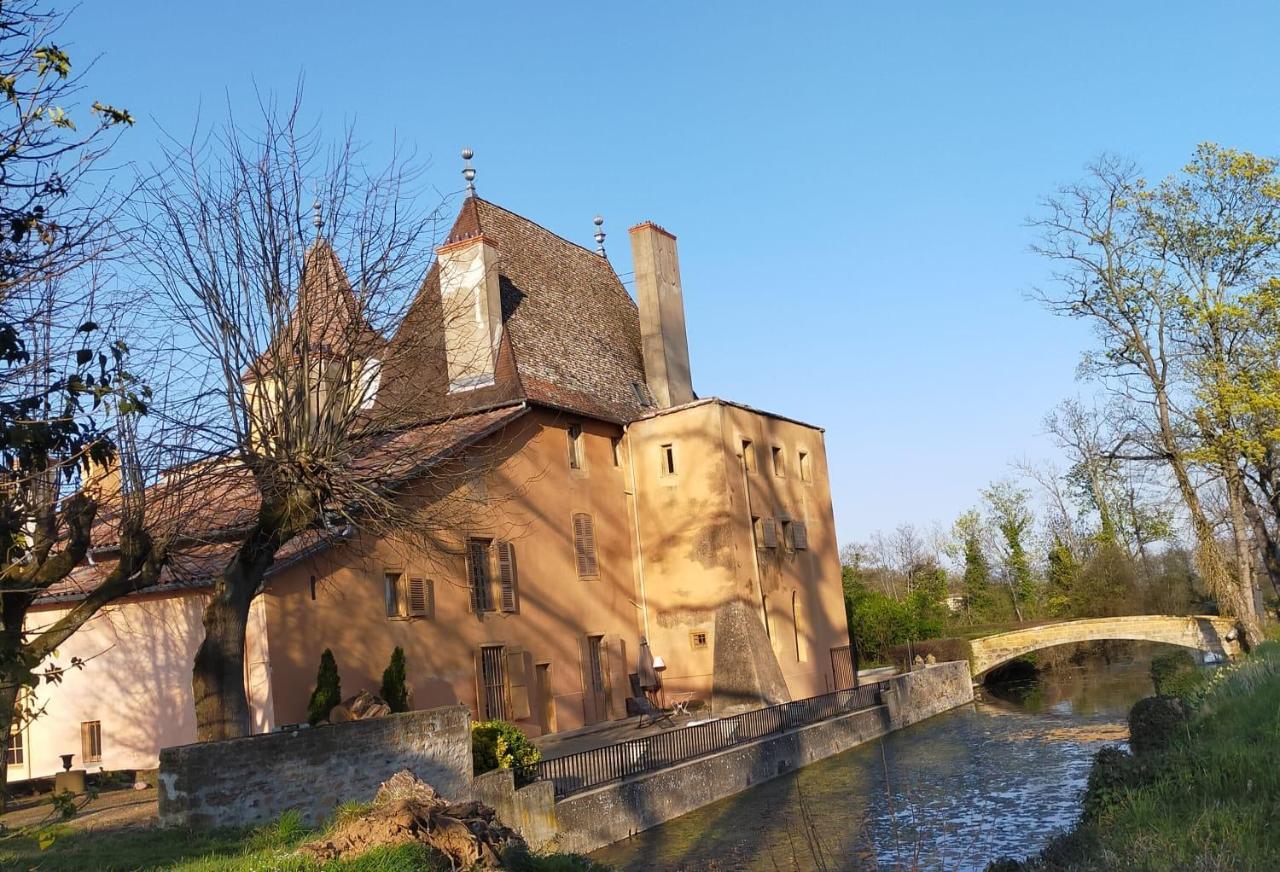 Chateau De La Venerie Denicé Eksteriør billede