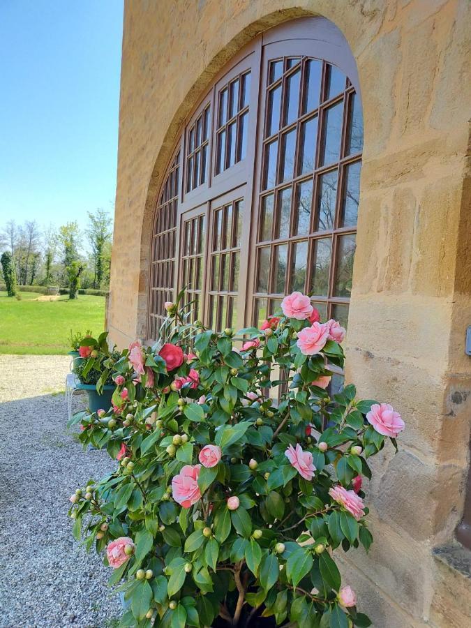 Chateau De La Venerie Denicé Eksteriør billede