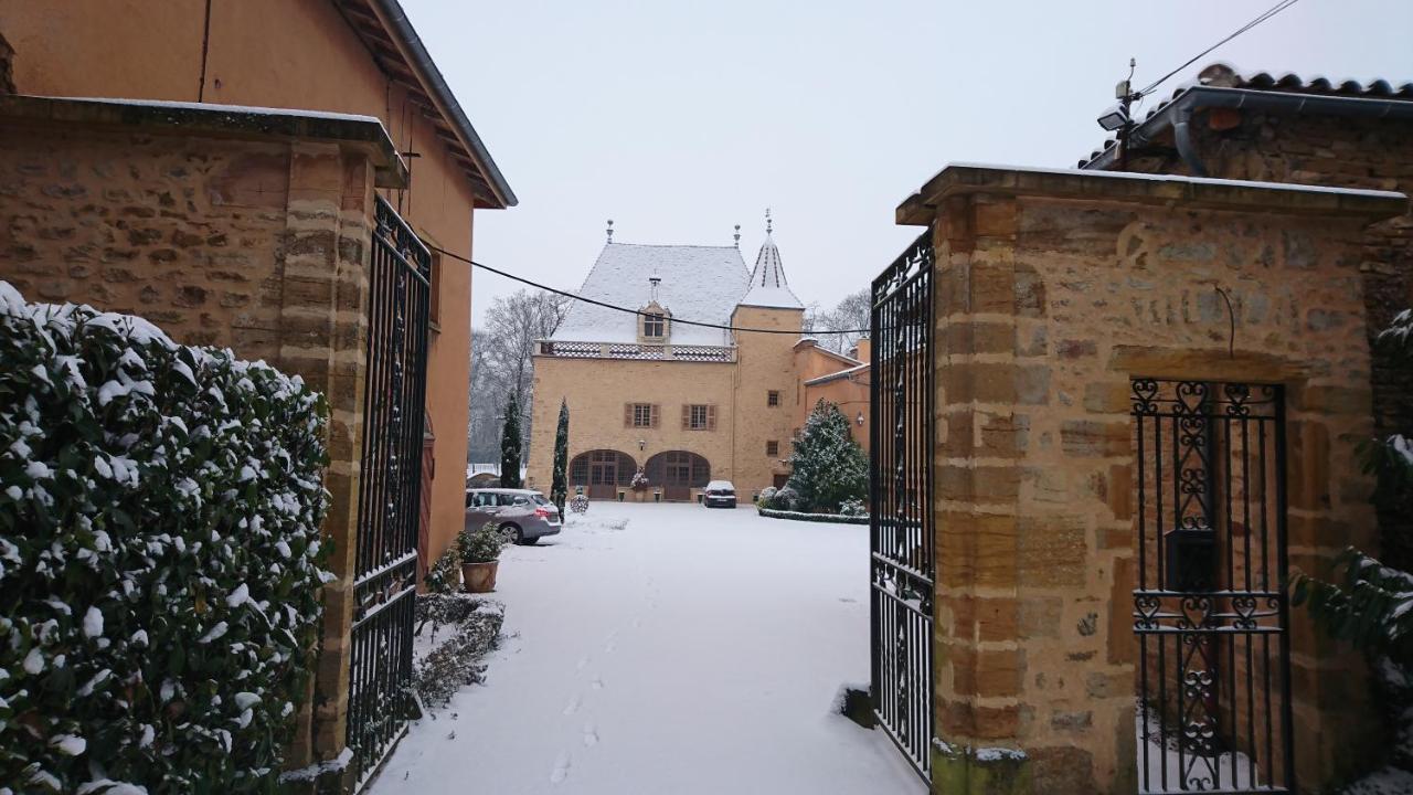 Chateau De La Venerie Denicé Eksteriør billede