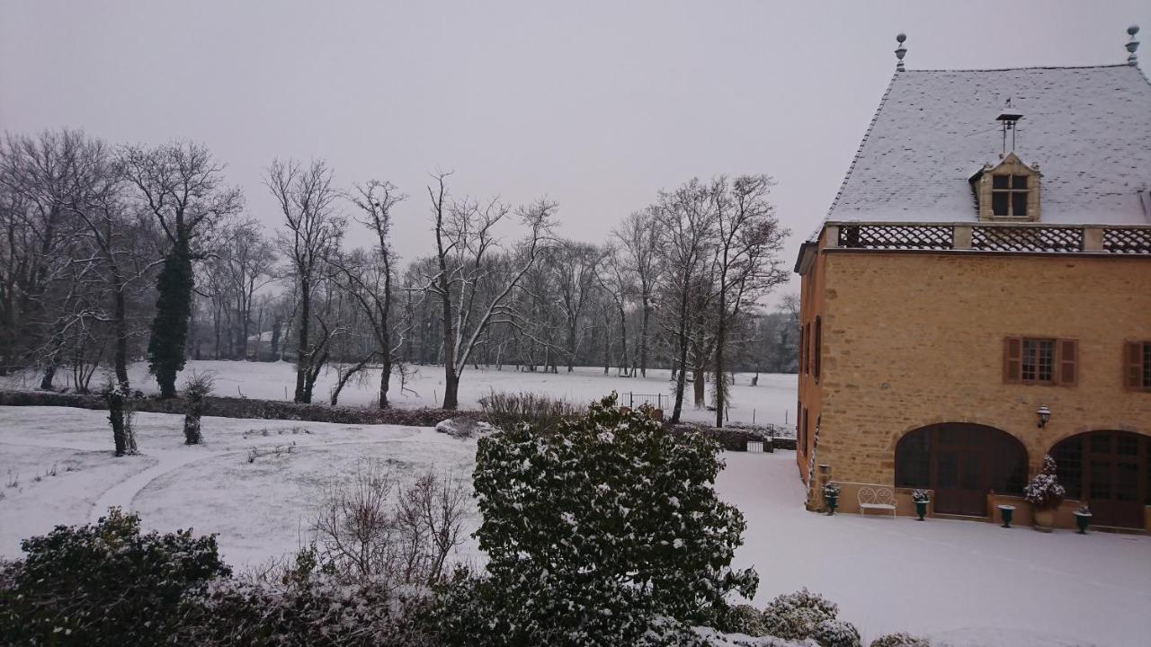 Chateau De La Venerie Denicé Eksteriør billede